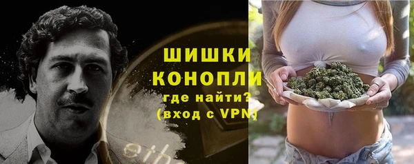мдпв Дмитровск