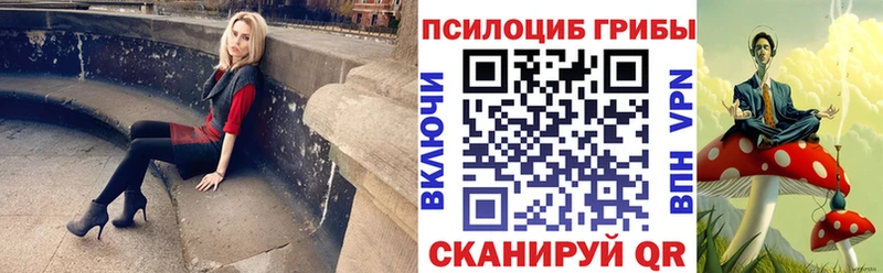 Псилоцибиновые грибы прущие грибы  Купить  Заполярный 