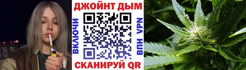 Шишки марихуана сатива  Купить закладки  Заполярный 